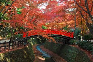 北野天満宮　もみじと鶯橋（イメージ）