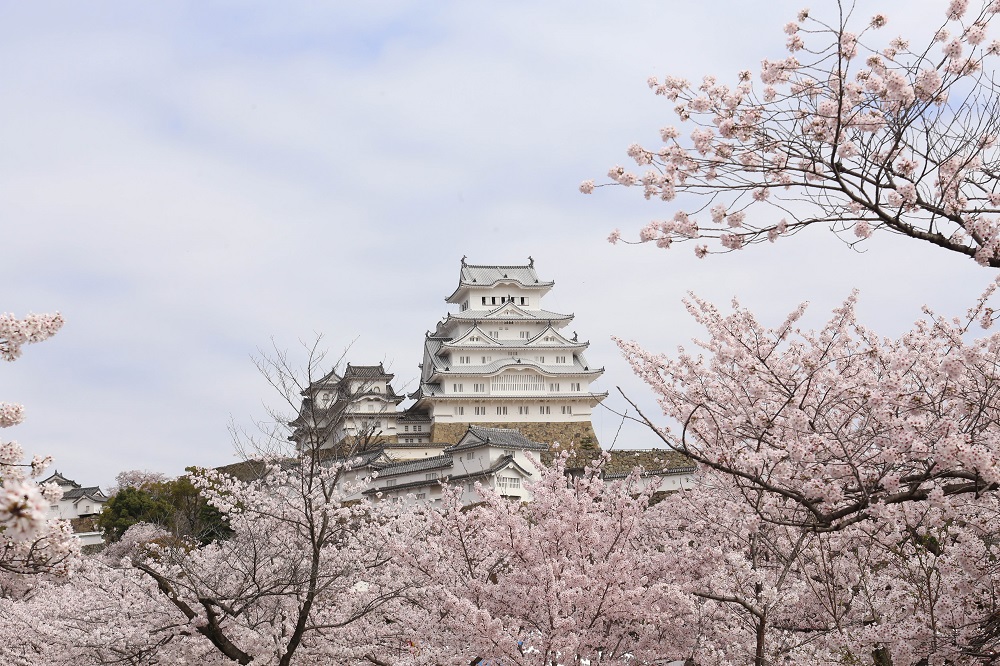 姫路城　画像提供：姫路市