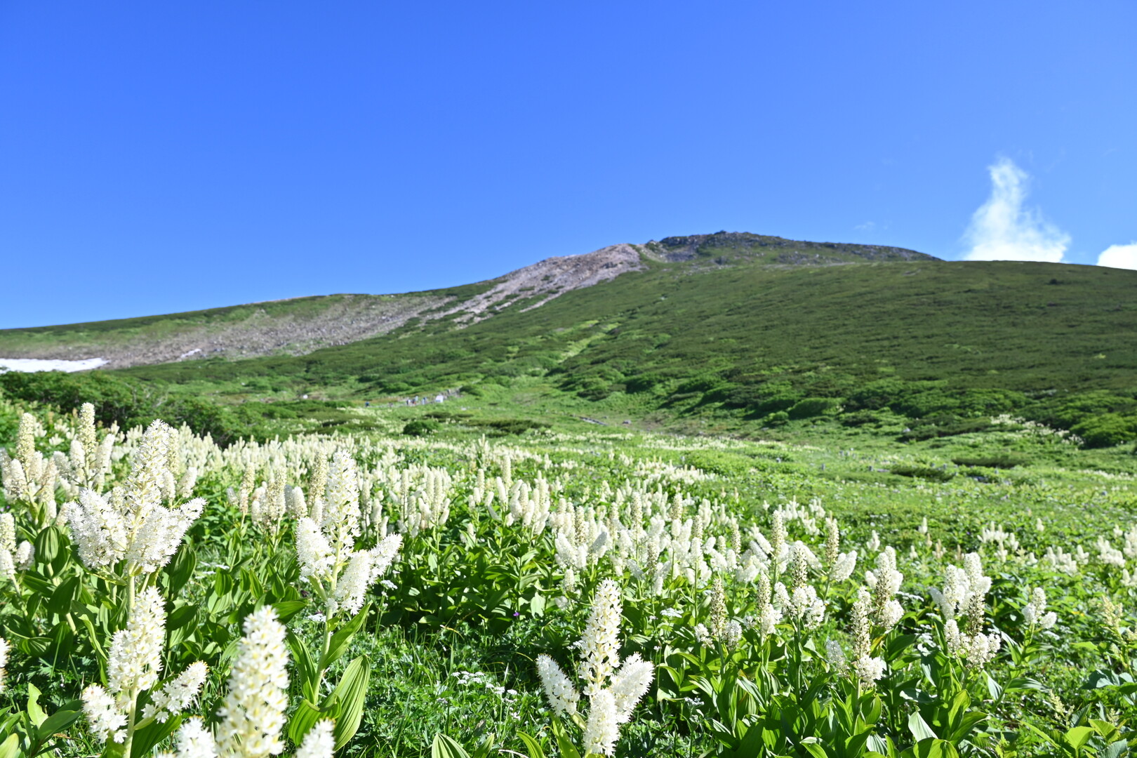 ツアー一覧 みちのりトラベル東北 旧岩手県北観光